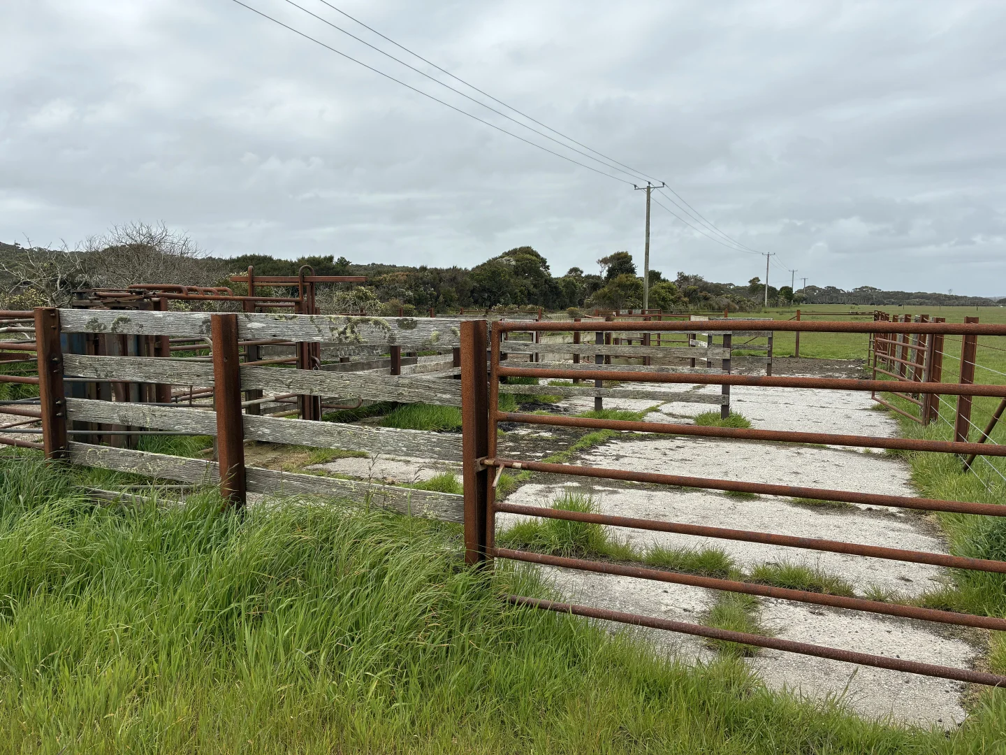 . Harcus River Road, Marrawah TAS 7330 photo 4