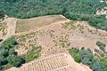 Additional image 16 of 25845 Dutcher Creek Rd, Cloverdale, CA, 95425