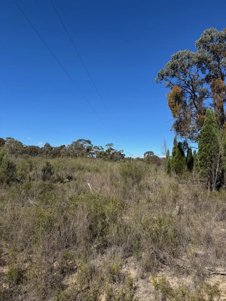 699 Cypress Drive, Mudgee NSW 2850 photo 3