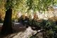 Additional image 19 of Lapwing Lane, West Didsbury