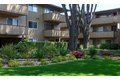 Additional image 11 of 3375 Alma St, Palo Alto, CA, 94306