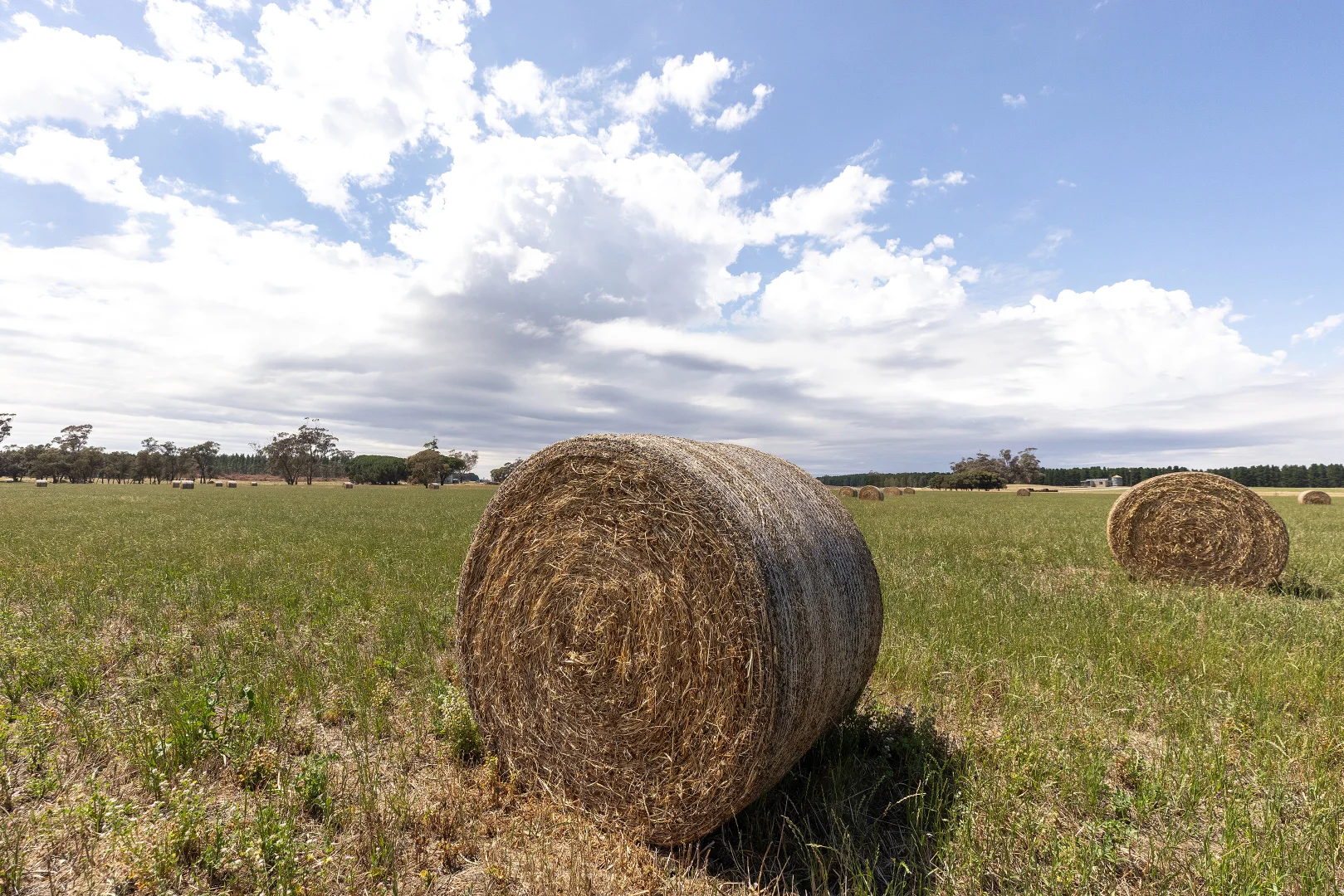 Additional image 12 of 2885 Frances Road, Bordertown SA 5268