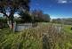 Additional image 9 of Land At Cae-Deial, Llanfihangel, Powys, SY22