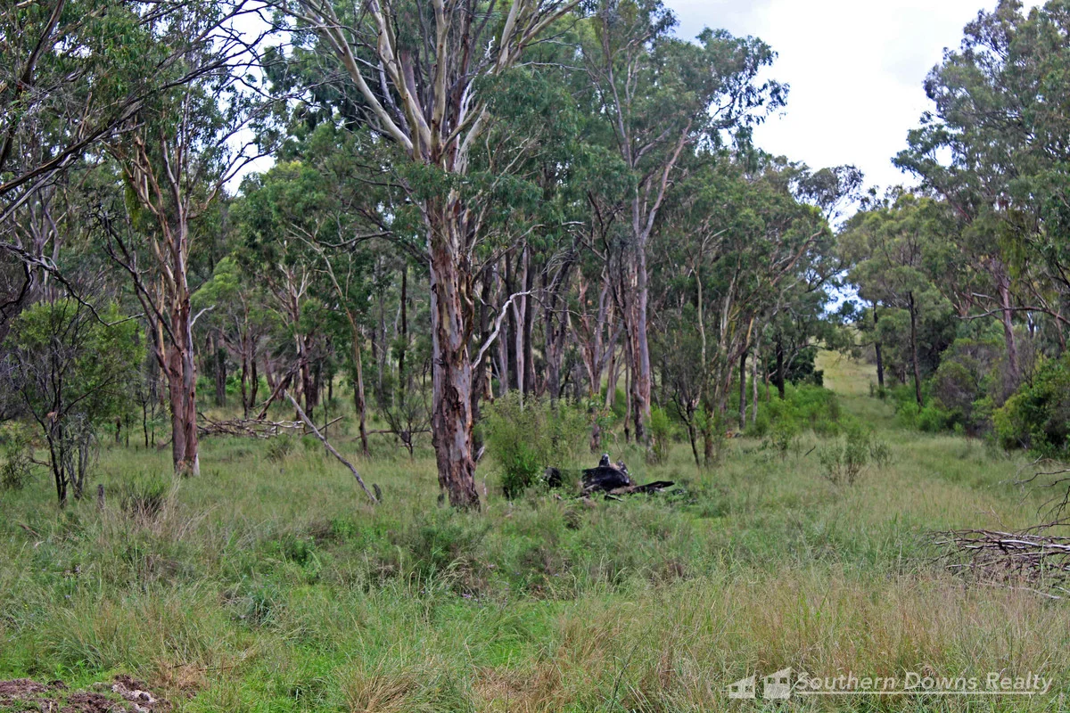 Additional image 7 of 89 Kingsleigh Road, Rosenthal Heights QLD 4370