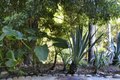 Additional image 74 of 1493 Sycamore Canyon Rd, Santa Barbara, CA, 93108