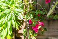 Additional image 52 of 631 San Bruno Ave, San Francisco, CA, 94107