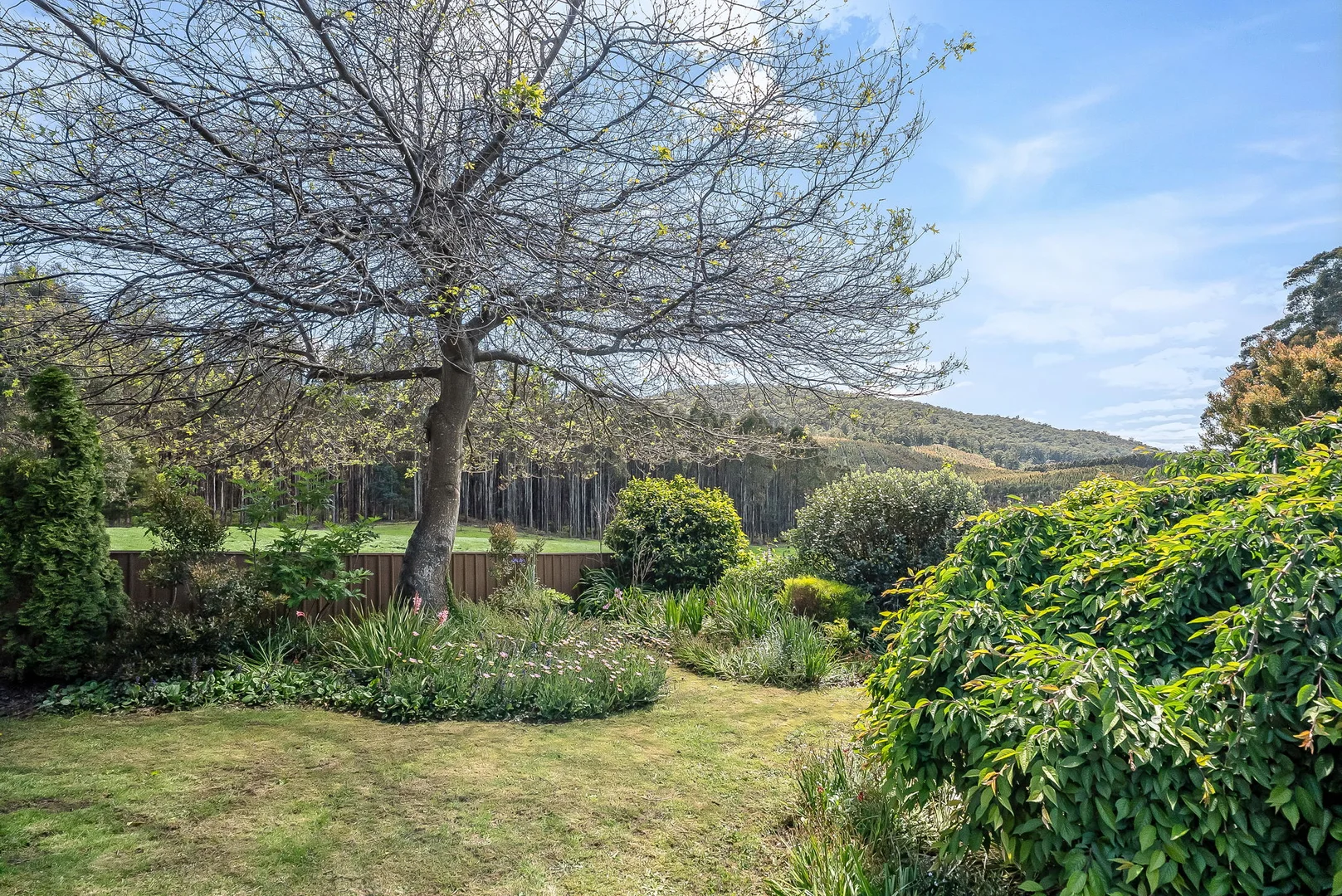 Additional image 3 of 98 Settlement Road, Flowery Gully TAS 7270