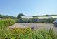 Mawnan Smith, Nr Helford Estuary photo 3