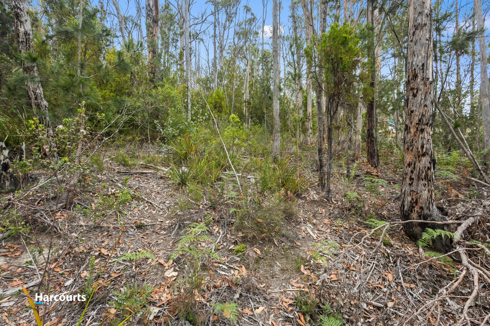 Additional image 8 of Lot 15 Abels Bay Road, Abels Bay TAS 7112