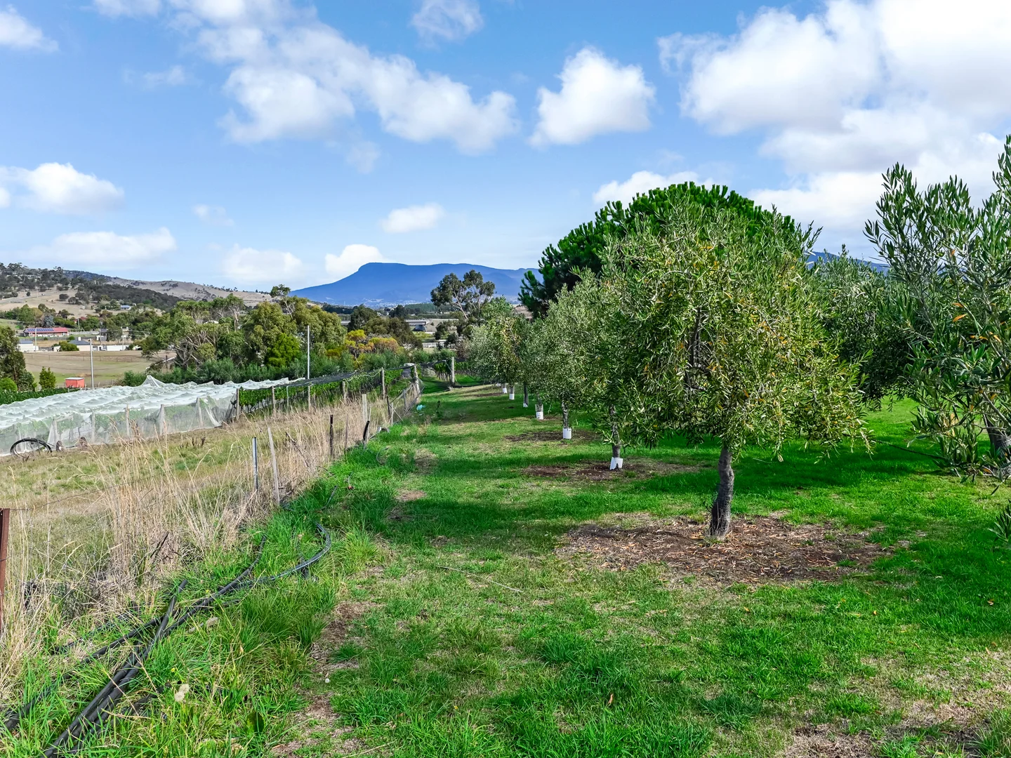 Additional image 26 of 173 Tea Tree Road, Brighton TAS 7030