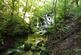 Additional image 6 of Quarrybeck Wood, Brampton, Cumbria, CA8