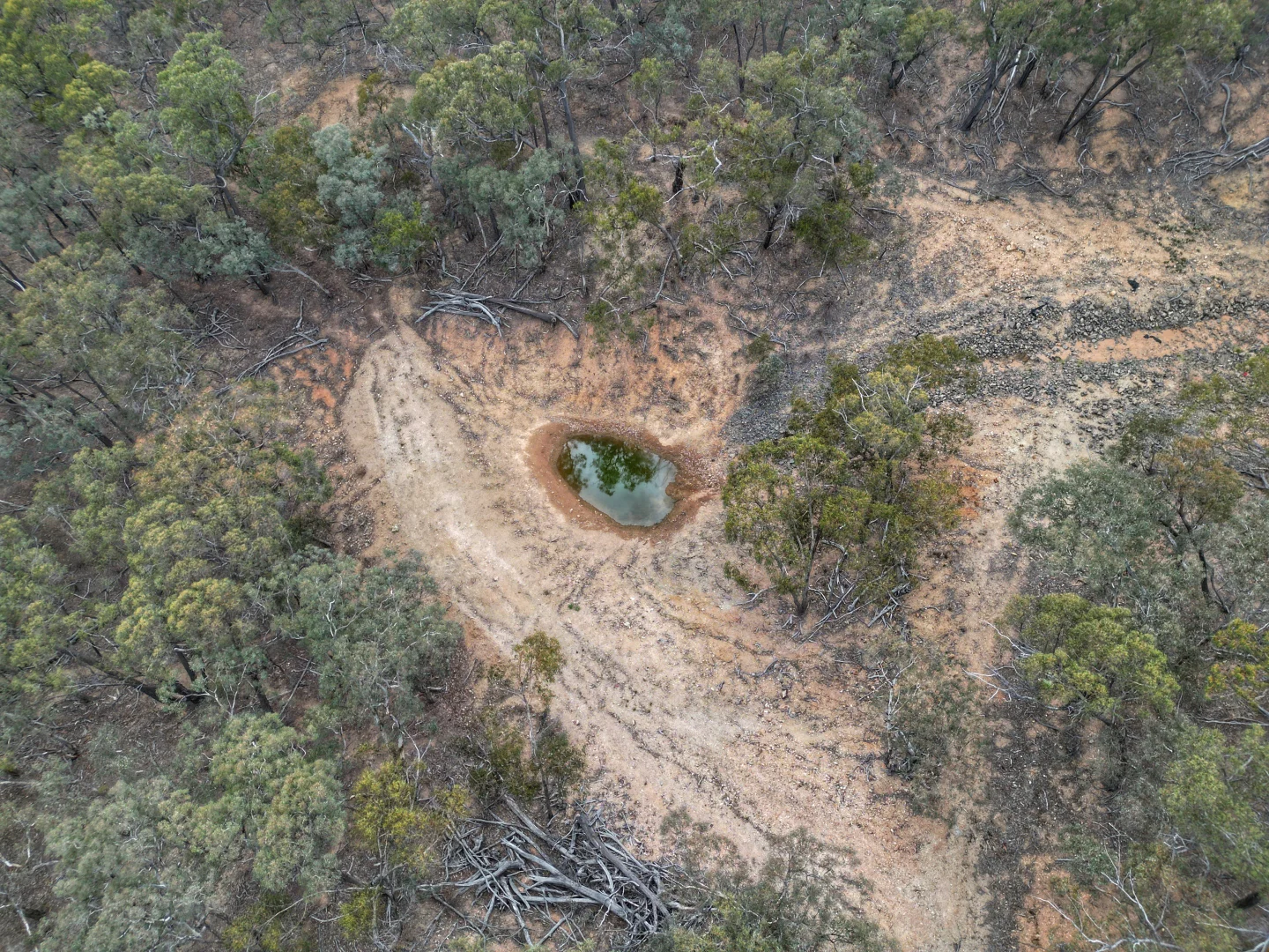 Additional image 17 of 1993 Reg Hailstone Way, Wyangala NSW 2808
