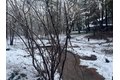 Additional image 48 of 12528 Rattlesnake Rd, Grass Valley, CA, 95945