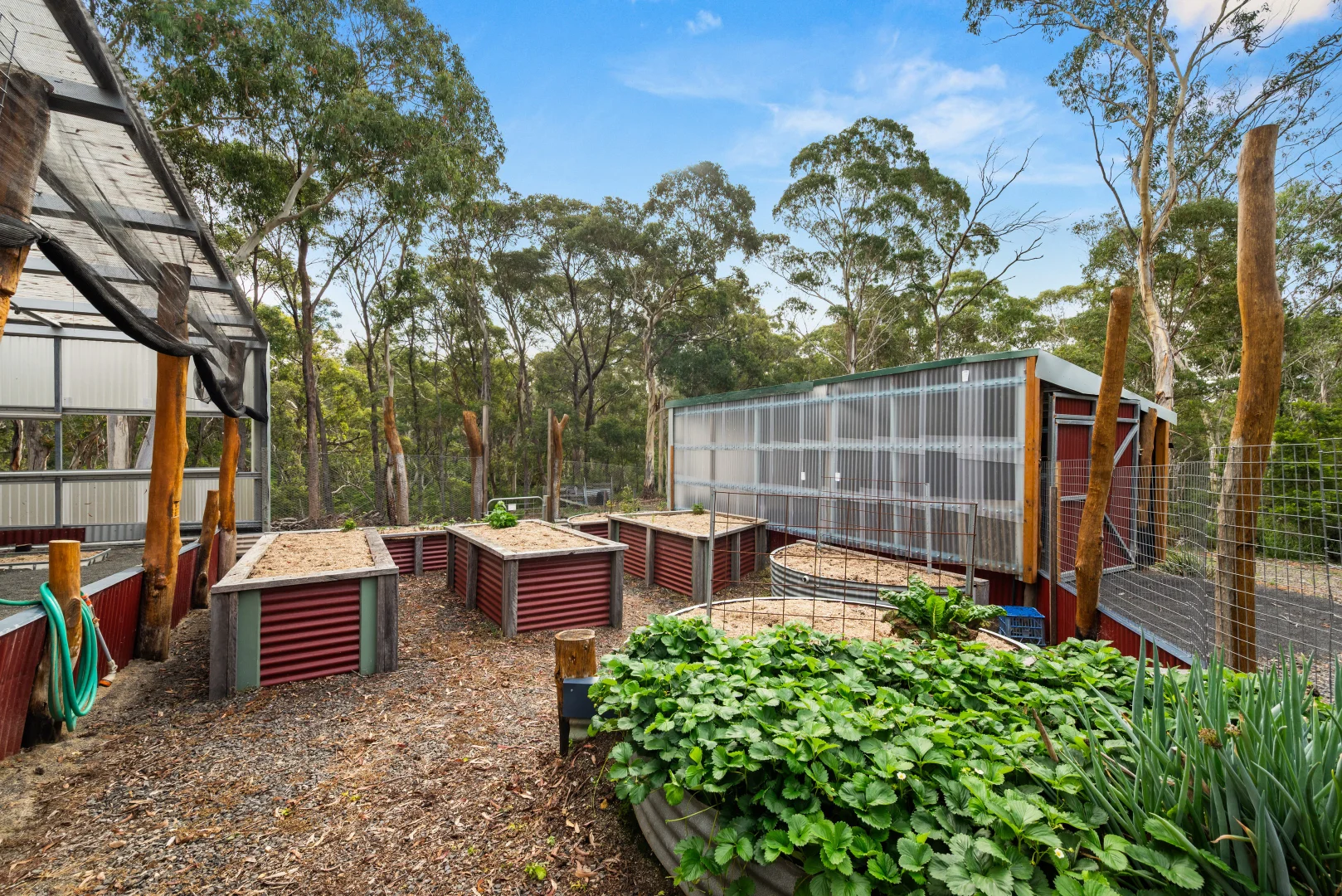 Additional image 41 of 497 Northangera Road, Braidwood NSW 2622