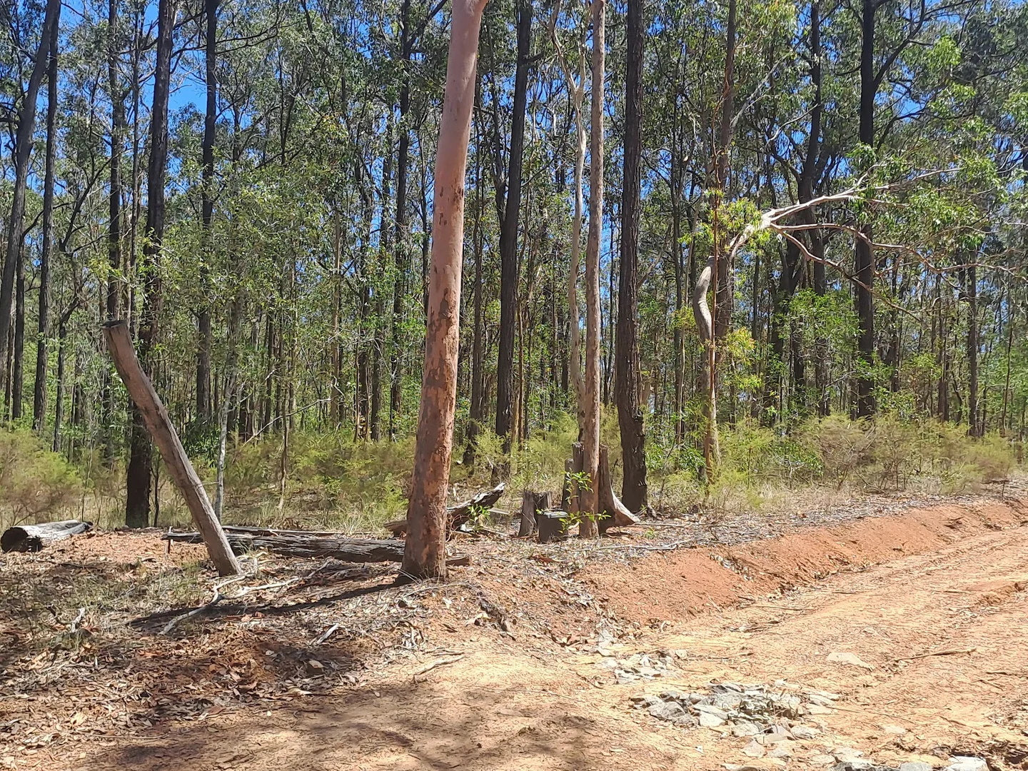 Additional image 6 of 215 Paterson Road, Paterson QLD 4570