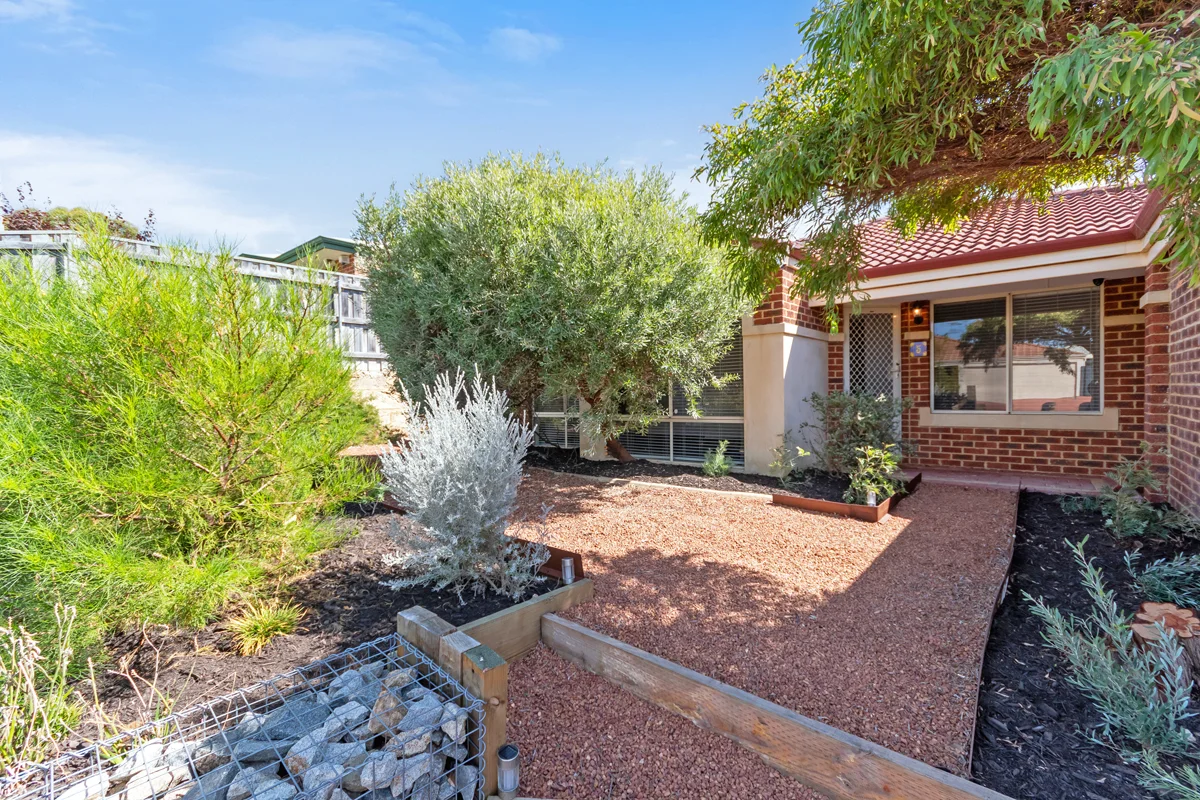 5 Crouch Vista, Clarkson WA 6030 photo 3