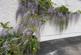 Additional image 50 of Ravendale, Grassgarth Lane, Ings, Kendal, LA8 9QF