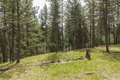 Additional image 40 of 6210 E Lincoln Ln, Spokane, WA, 99217