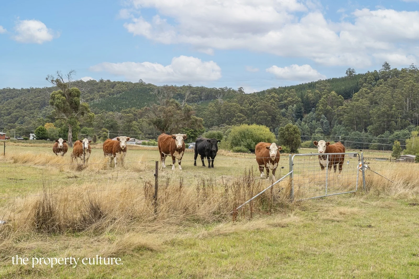 Additional image 4 of 989 Woodbridge Hill Road, Gardners Bay TAS 7112