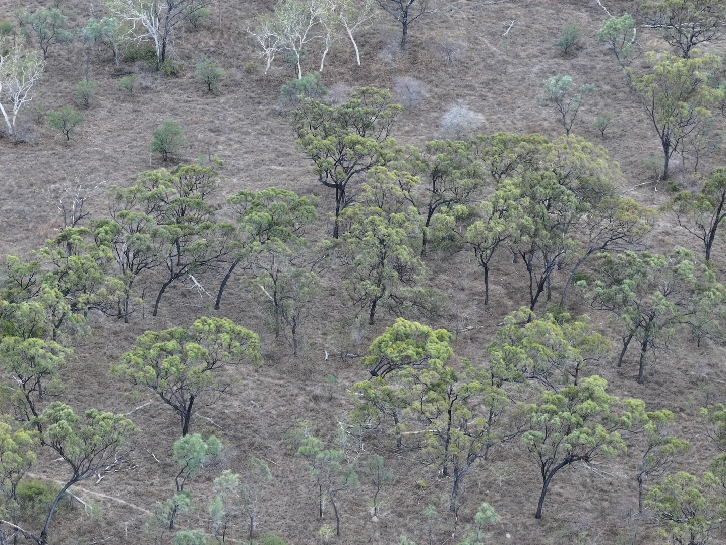 Additional image 3 of 8 Coventry Road, Guthalungra QLD 4805