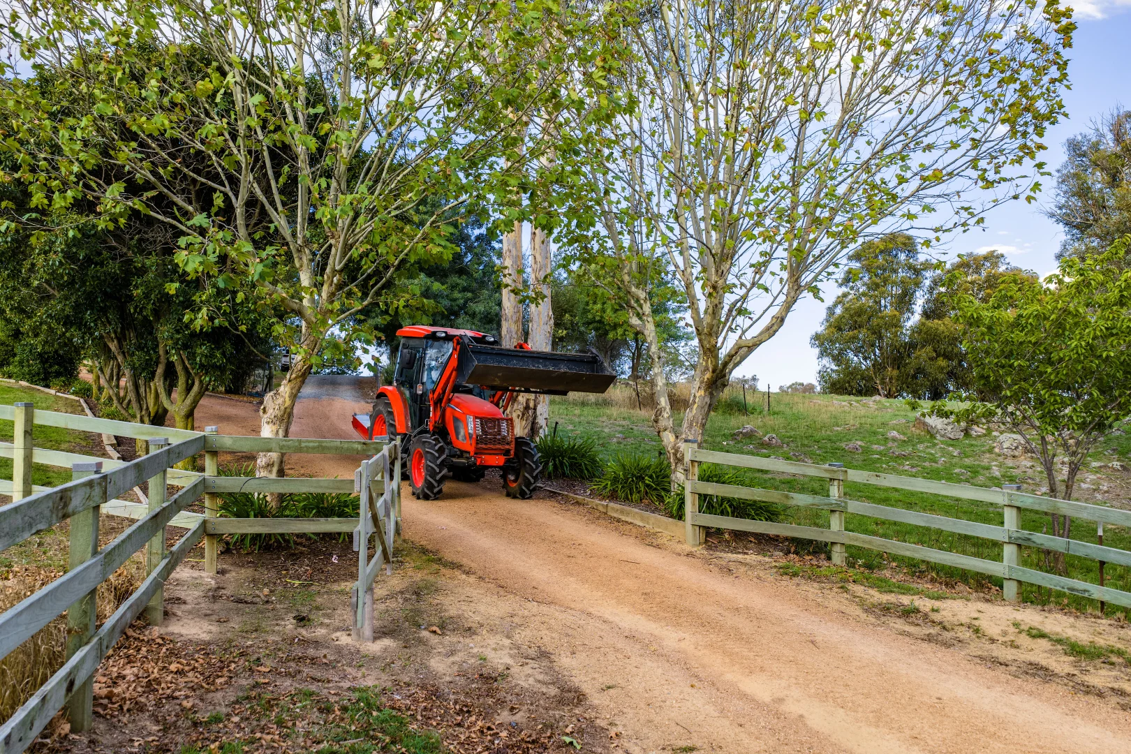 Additional image 5 of "Savannah Springs" 294 Rolfe Road, Wallaroo NSW 2618