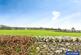 Additional image 20 of Long Meadow Lane, Natland, Kendal