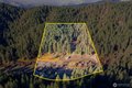 Additional image 38 of 16930 Chumstick Hwy, Leavenworth, WA, 98826