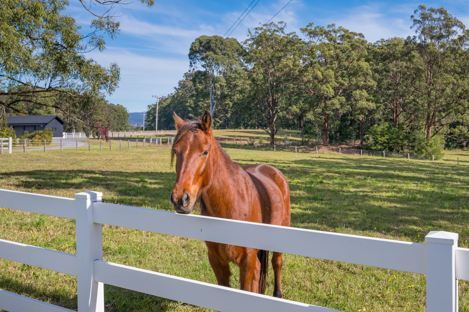 Additional image 24 of 107 Muscio Road, Sancrox NSW 2446