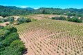 Additional image 41 of 25845 Dutcher Creek Rd, Cloverdale, CA, 95425