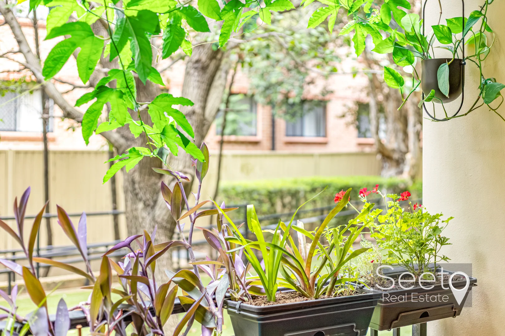 Additional image 4 of 8/38-40 Marlborough Road, Homebush West NSW 2140