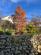 Additional image 49 of Ravendale, Grassgarth Lane, Ings, Kendal, LA8 9QF