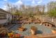 Additional image 32 of Oaklands Road, Bridgend, CF31