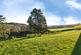 Additional image 16 of Spring Head Road, Uplyme, Lyme Regis