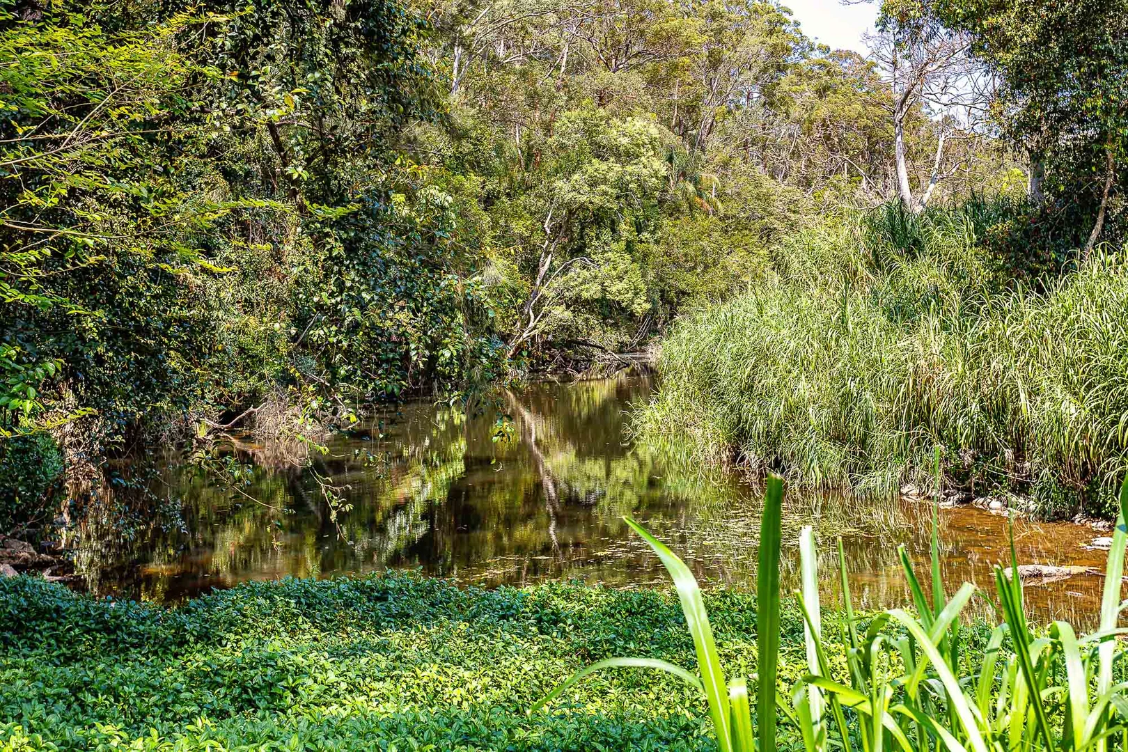 Additional image 6 of 3 Mark Way, Mudgeeraba QLD 4213