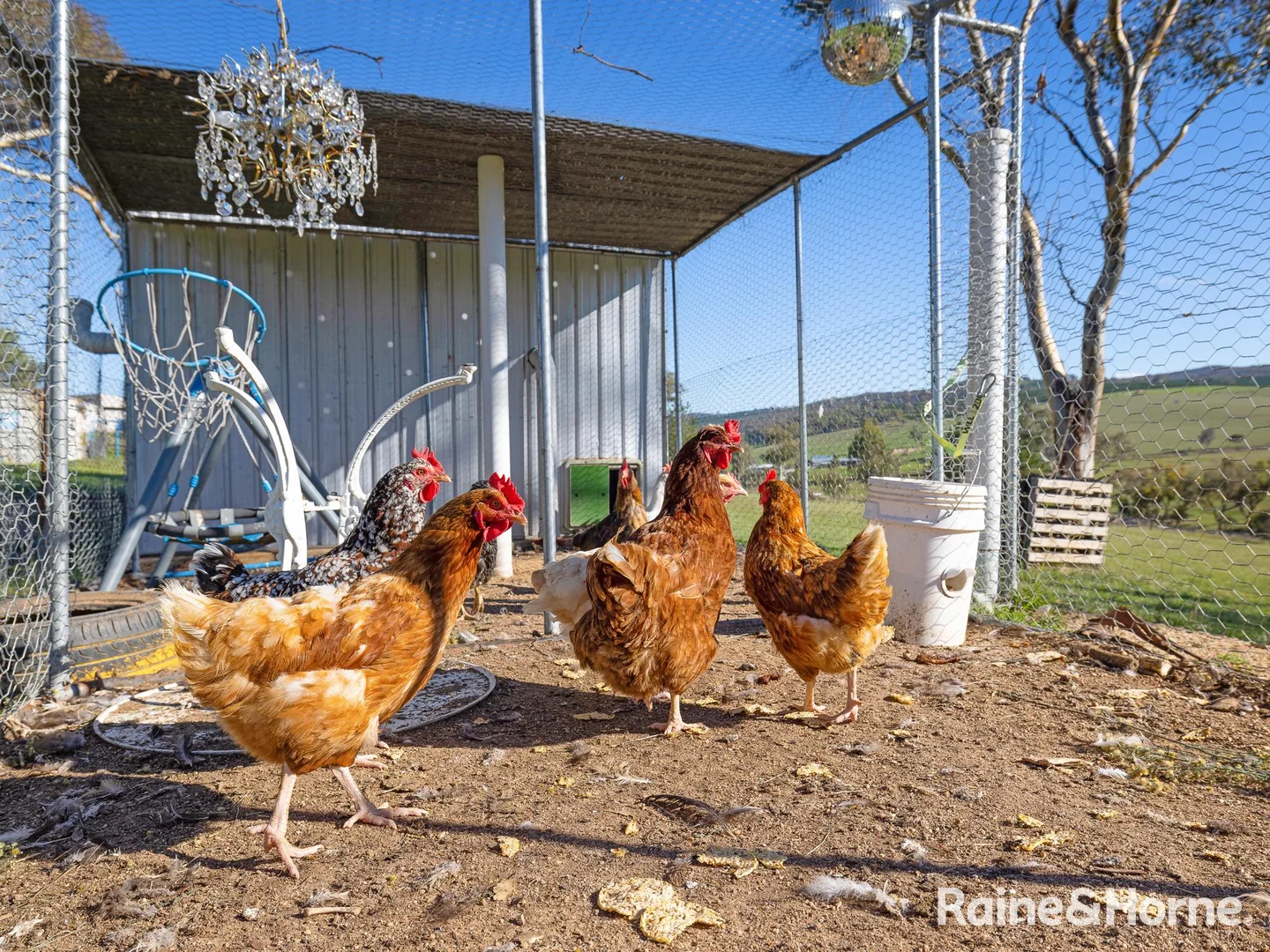 Additional image 21 of 118 Samuel Way, The Lagoon NSW 2795