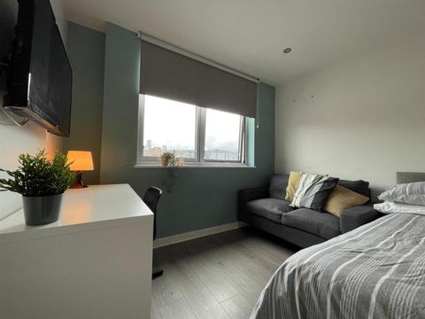 Alma Street, Kelham Island S3, Studio to rent