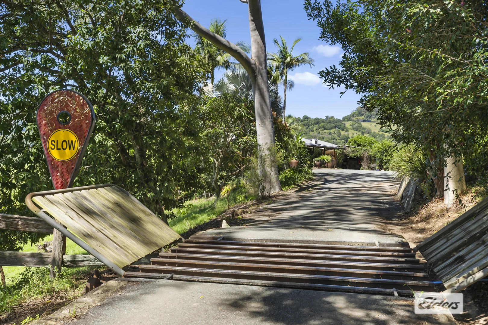 Additional image 27 of 225 Tyalgum Road, Eungella NSW 2484