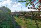 Additional image 6 of First Raleigh, Bideford