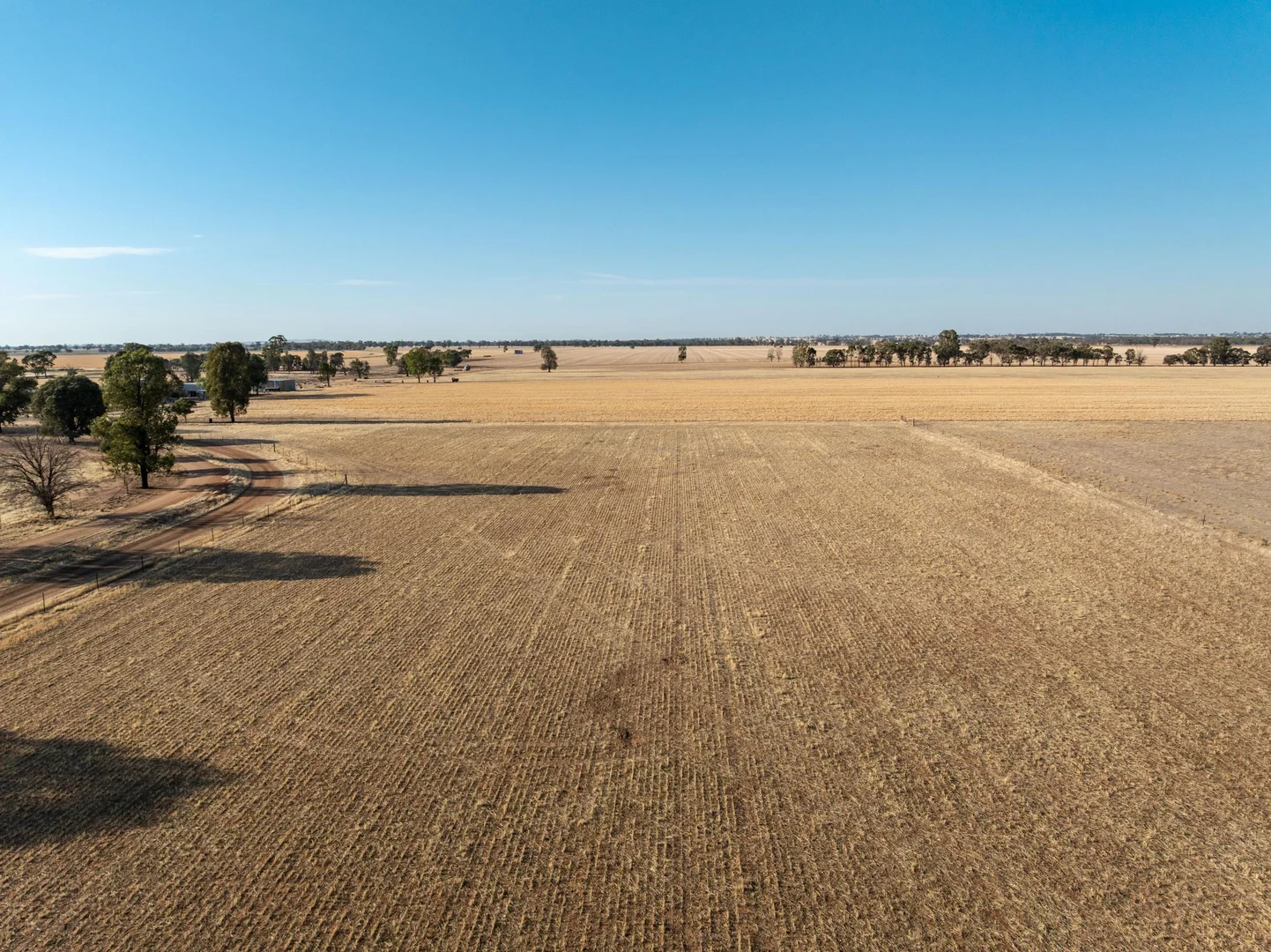 Additional image 18 of 3391 Albury Road, Lockhart NSW 2656