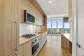 228 W Hill St Unit 1-1, Chicago, IL, 60610