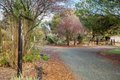 Additional image 22 of 10988 Pleasant Valley Rd, Penn Valley, CA, 95946