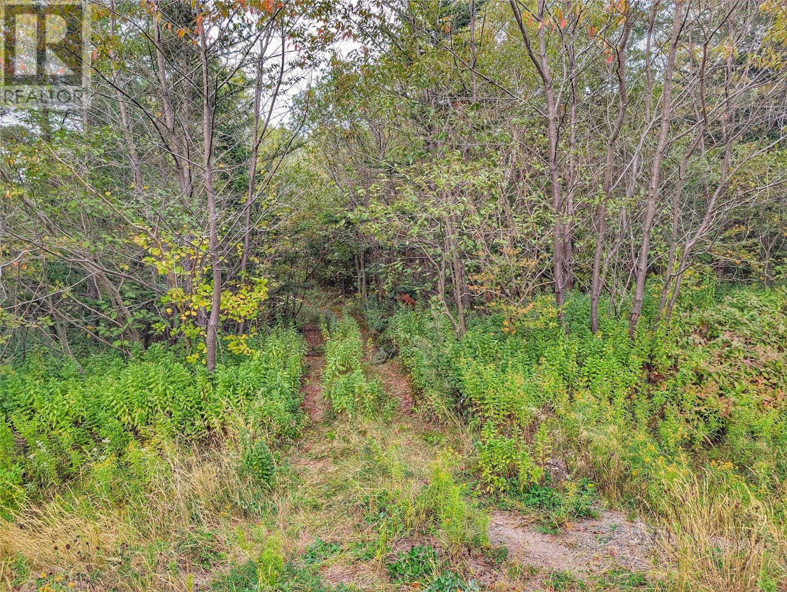 0 Tucker's Hill, Lethbridge, NL, A0C1V0 photo 4