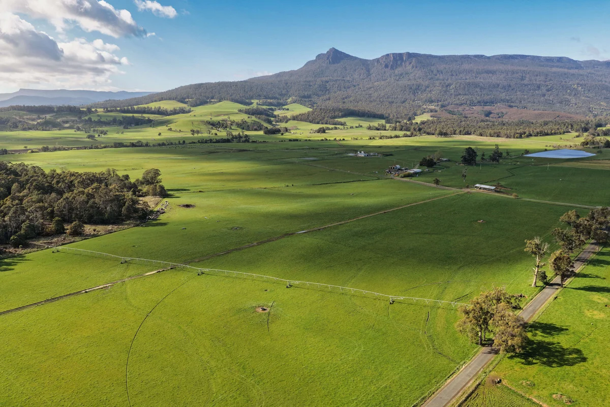 1037 & 1044 Dairy Plains Road, Western Creek TAS 7304