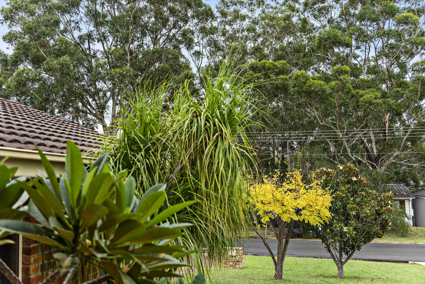 Additional image 23 of 12 Ross Avenue, Narrawallee NSW 2539