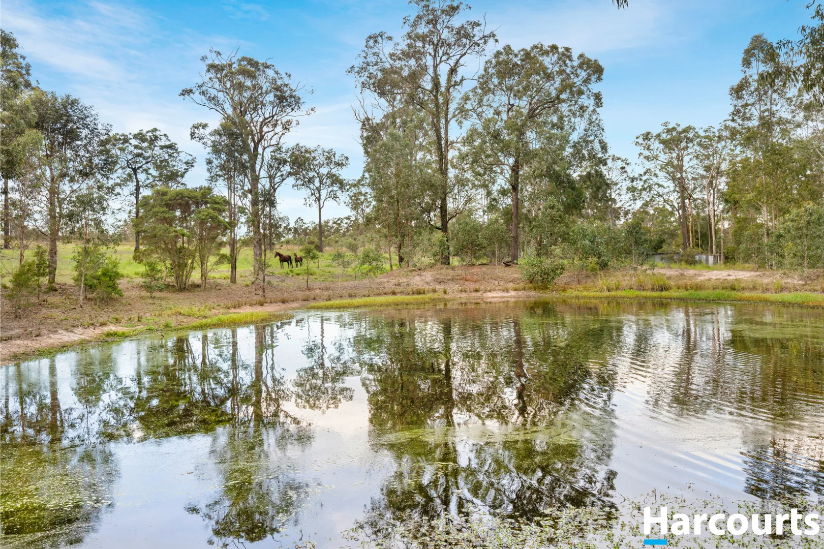 Additional image 27 of 52 Forest Glen Road, Limeburners Creek NSW 2324
