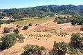 Additional image 45 of 25845 Dutcher Creek Rd, Cloverdale, CA, 95425