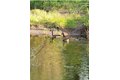 Additional image 45 of 32108 County Route 143, Black River, NY, 13612