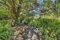 Additional image 23 of 75 Bush Ln, Ithaca, NY, 14850