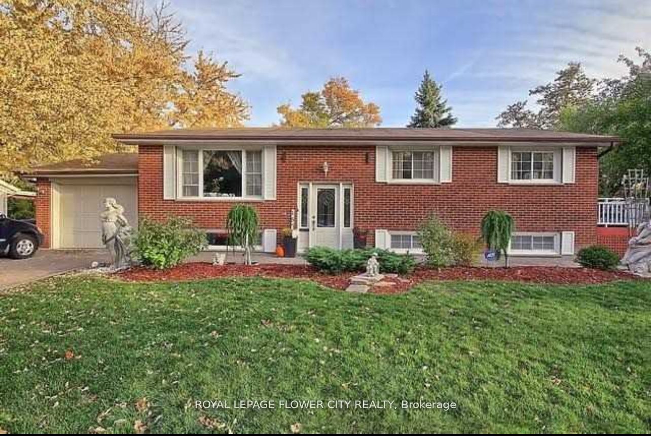 (Main Floor)-157 Elliott Street, Brampton, ON, L6Y 1W7