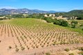 Additional image 56 of 25845 Dutcher Creek Rd, Cloverdale, CA, 95425